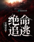 绝命追逃