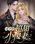 司少的超甜小傻妻