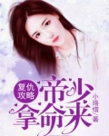复仇攻略:帝少拿命来