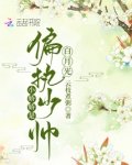 小娇娇是偏执少帅白月光