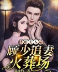 狂虐夫人后，顾少追妻火葬场