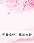 逆天宠妃，莫惹为妙