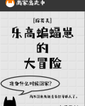 乐高蝙蝠崽的大冒险[综英美]