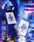 另一半灵魂是顶级玩家[无限]