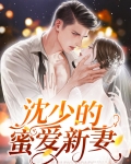 沈少的蜜爱新妻