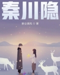 秦川隐