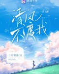 清风不渡我