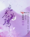 点苍为聘