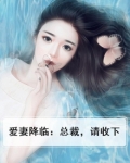 爱妻降临：总裁，请收下