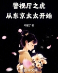 警视厅之虎,从东京太太开始