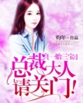 一胎三宝:总裁大人请关门!