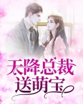 天降总裁送萌宝