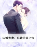 闪婚宠妻:总裁的掌上宝