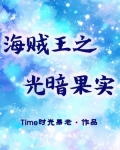 海贼王之光暗果实