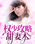 权少攻略甜妻术
