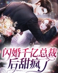 闪婚千亿总裁后甜疯了