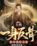 大明:我一身反骨,你夸我好圣孙