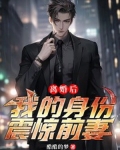 离婚后,我的身份震惊前妻