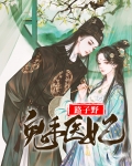 鬼手医妃路子野