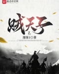贼天子