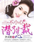 一不小心潜了总裁