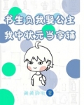 书生负我娶公主,我中状元当宰辅