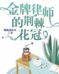 金牌律师的荆棘花冠