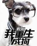 假如我重生成狗