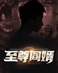 至尊阎婿
