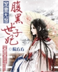 宠妻无度之腹黑世子妃