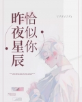 昨夜星辰恰似你