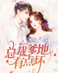 一胎六宝:总裁爹地有点坏