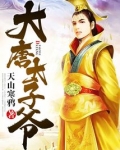 大唐太子爷