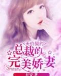 天价契约:总裁的完美娇妻
