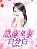 总裁宠妻百分百